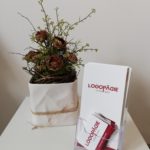 Logopädie Sulingen